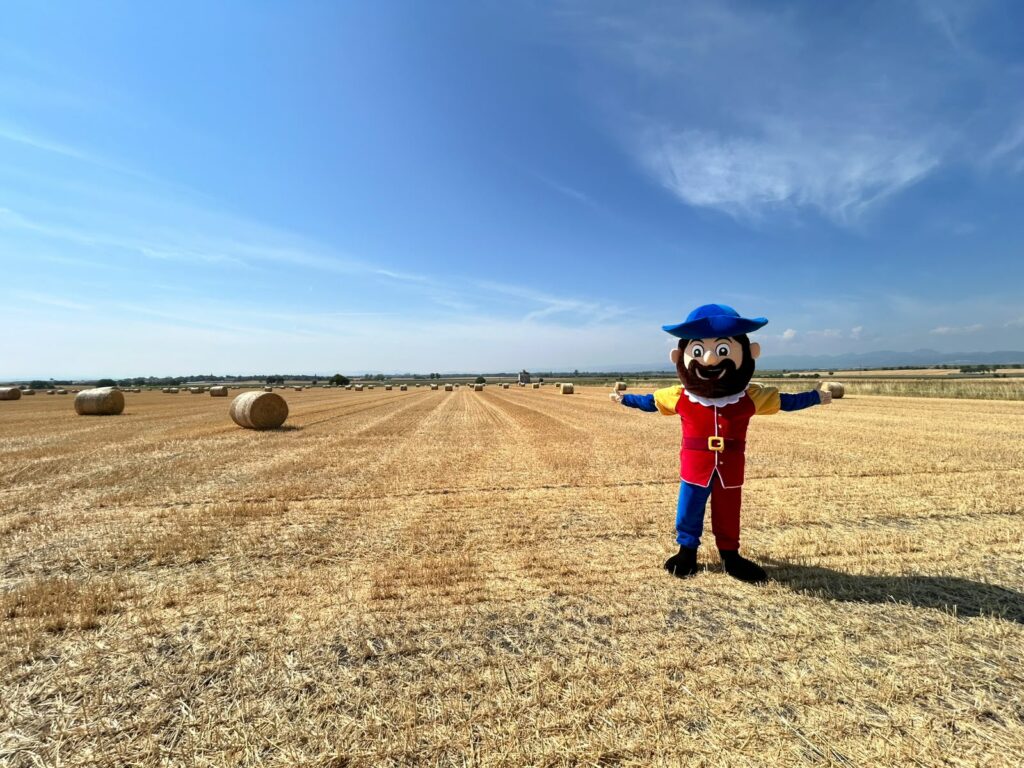 Mascotte Roi - Cindy Corvey-Biron - La Mascotterie