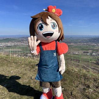 Joy coucou plateau de Gergovie - La Mascotterie - Cindy Corvey-Biron