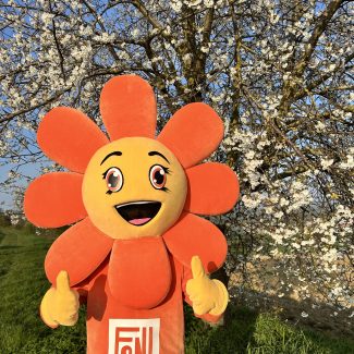 Mascotte Foire d'Angers - La Mascotterie - Cindy Corvey-Biron