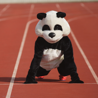 Mascotte panda sur la ligne de départ - La Mascotterie - Cindy Corvey-Biron