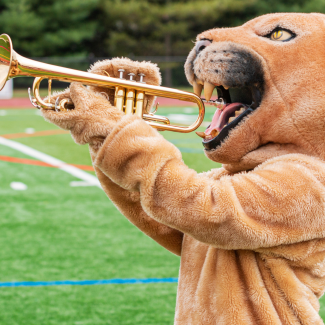 Photos site (A4 (paysage))