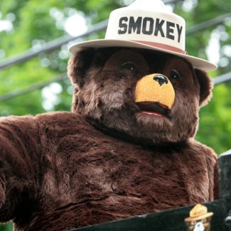 david-trinks-Utw3FcdWwr8-unsplash