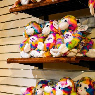 koushalya-karthikeyan-L1S73b36wZg-unsplash