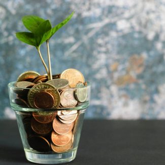 Investissement - Cindy Corvey-Biron - La Mascotterie