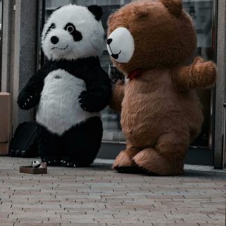 mascotte panda et ours - Cindy Corvey-Biron - La Mascotterie
