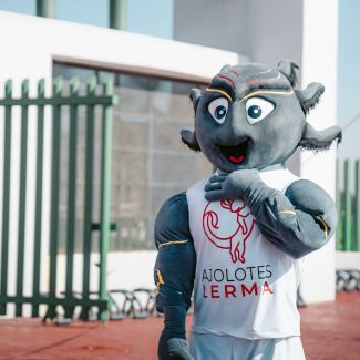 Mascotte personnalisée - Cindy Corvey-Biron - La Mascotterie