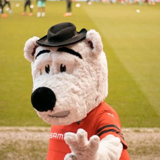 tom-cochereau-yZhPJzlK5So-unsplash (2)